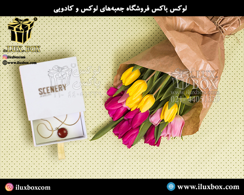 جعبه هارد باکس لوکس باکس