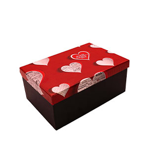 جعبه هارد باکس لوکس باکس