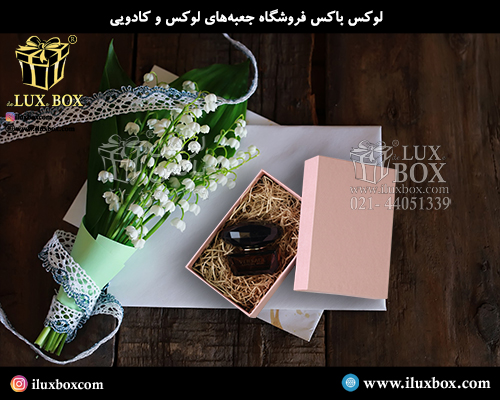 جعبه هارد باکس لوکس باکس