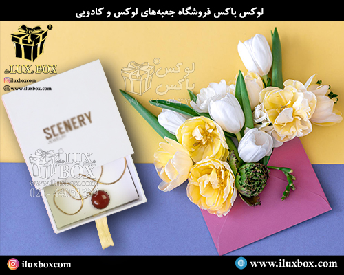 جعبه هارد باکس زیورآلات لوکس باکس