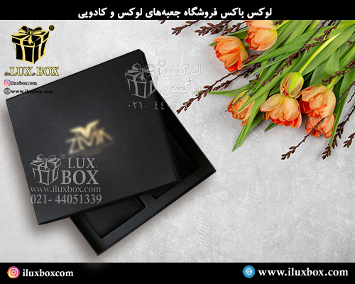 جعبه هاردباکس لوازم خودرو لوکس باکس